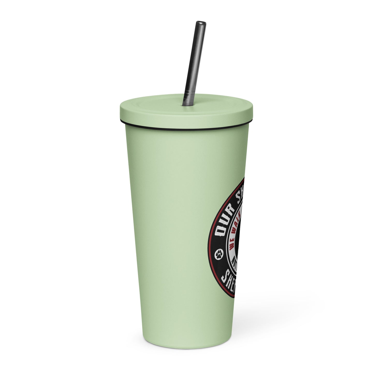 Insulated tumbler with a straw