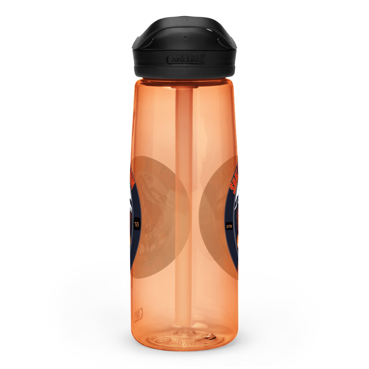 Sports water bottle