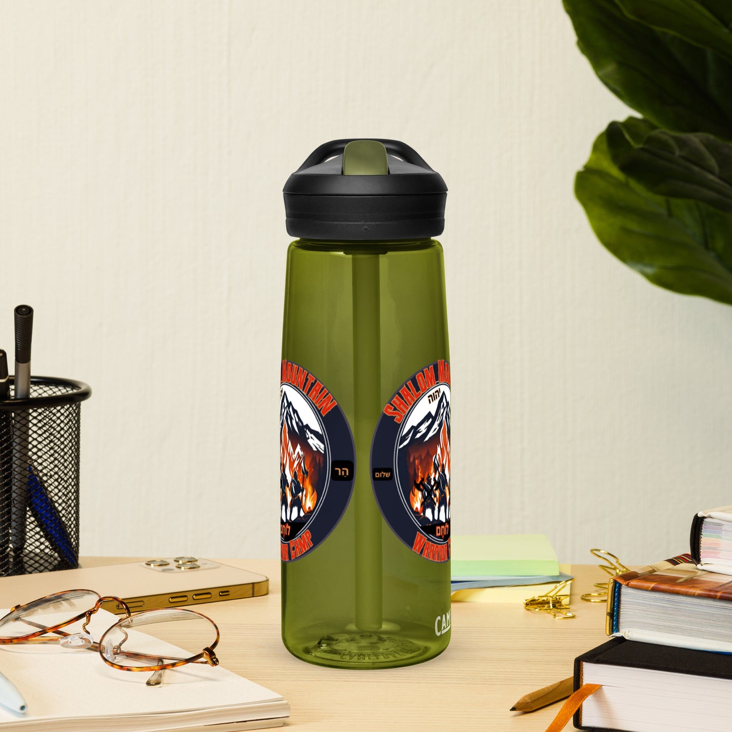 Sports water bottle