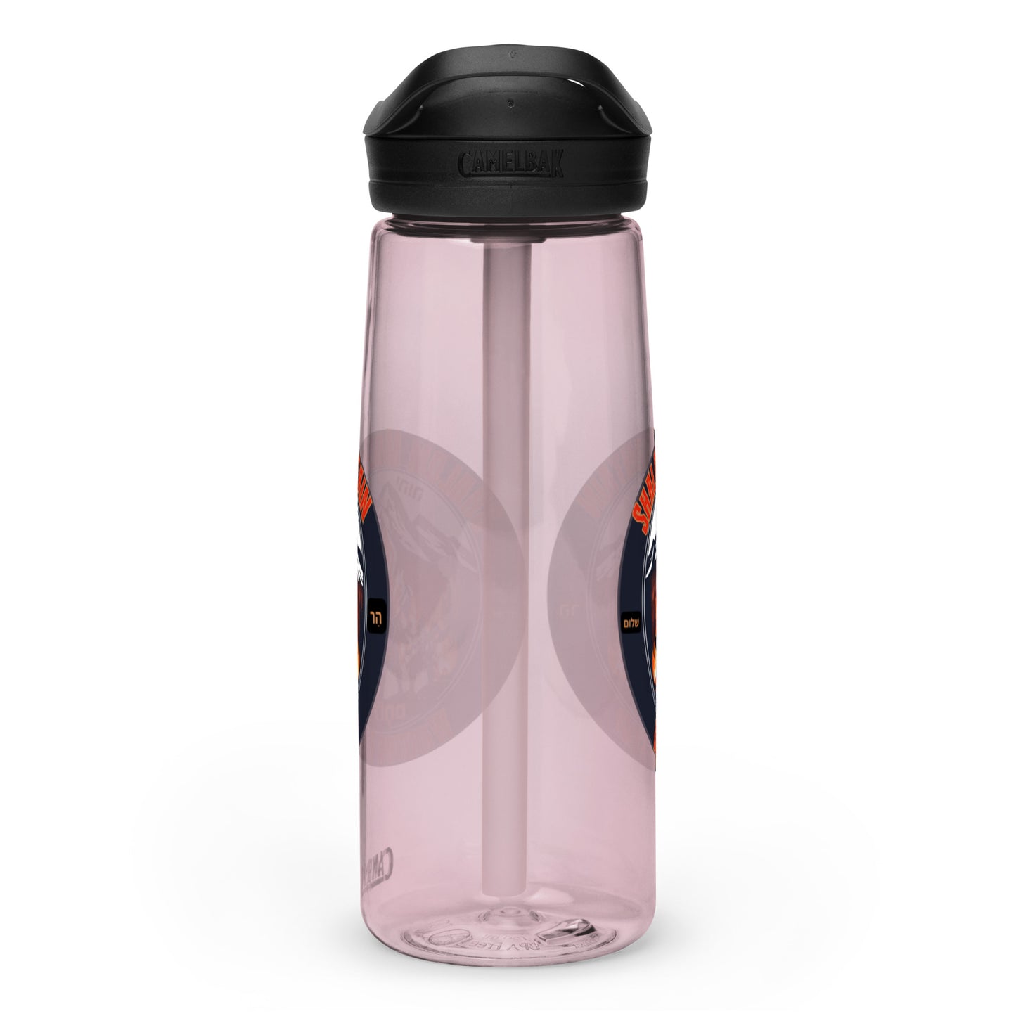 Sports water bottle